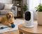 Pet Cams