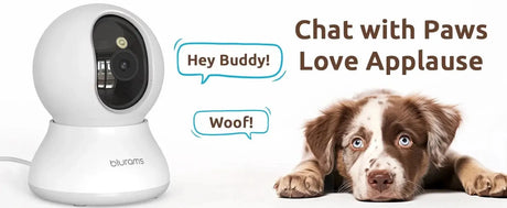 Blurams Pet Camera 2K - 360 Degree Indoor PTZ Security With 2 Way Audio - stepyours.com
