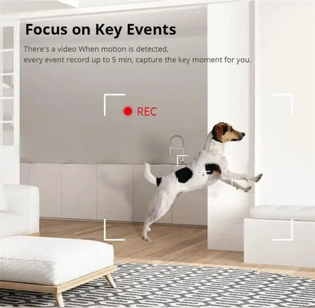 Sonoff Slim 1080P Security Cam Night Vision Alexa Compatible