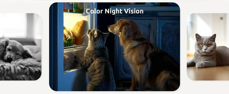 Blurams Pet Camera 2K - 360 Degree Indoor PTZ Security With 2 Way Audio - stepyours.com