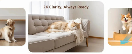 Blurams Pet Camera 2K - 360 Degree Indoor PTZ Security With 2 Way Audio - stepyours.com