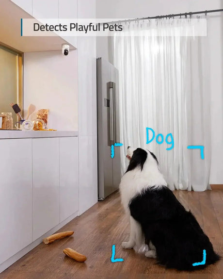 Eufy Security Solo Indoor Cam 2K Clarity And Human Detection